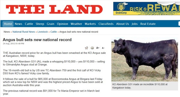 The Land Online 240812